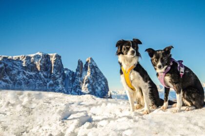 escursioni invernali